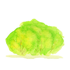 Watercolor Spring green tree hand drawing illustration. Forest fresh Green Bush isolated on white background.