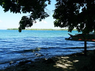 Beachline shaded by a huge tree on a sunny day, southern Philippines.