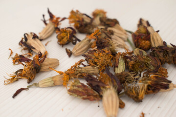 Marigold plant seeds, dry flower.Collection of dried marigold seeds.