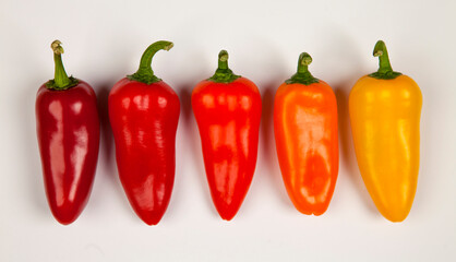 DIFFERENT COLORS SPICY PEPPERS