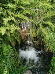 Wonderful life in the Sacred Valley of the Incas in Perú. Come to visit this view