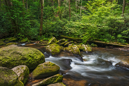 USA, Georgia, Blue Ridge Mountains, Chester Creek in Blue Ridge Mountains