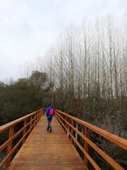 Young man walking on a wooden bridge in nature, with trees. It transmits a lot of calm and peace