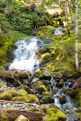 USA, Washington State, Olympic National Forest. Waterfall off Lena Lake trail.