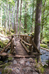 USA, Washington State, Olympic Mountains. Hiker on bridge over Lena Creek. Lena Lake trail Olympic National Forest. 