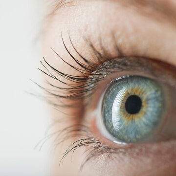 Woman's eye