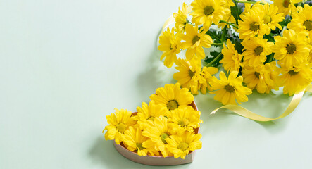 Yellow chrysanthemums bouquet and chrysanthemums buds in shape heart on the turquoise background. Top view, copy space. Nice greeting card design for Mother's day, Women's day or Valentine's day.