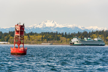 USA, Washington State, Puget Sound. Washington State ferry Bremerton to Seattle in Rich Passage. The Brothers Olympic Mountains. Cormorants perch channel marker buoy - obrazy, fototapety, plakaty