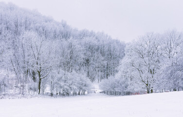 Obraz na płótnie Canvas Winter landscape in Czech republic.