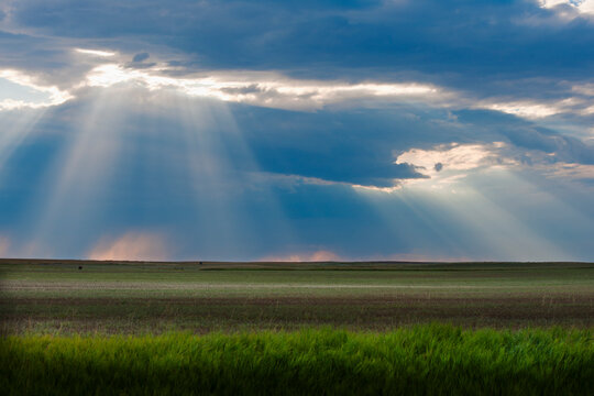 Sunrays shining through clouds over field