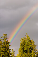 USA, Washington State, Puget Sound. Break in the storm, vibrant rainbow.