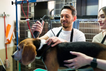 Hispanic man and woman grooming a beautiful dog
