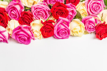 Assorted fresh multicolored roses isolated on white background