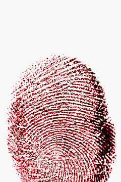 Close up of fingerprint on white background