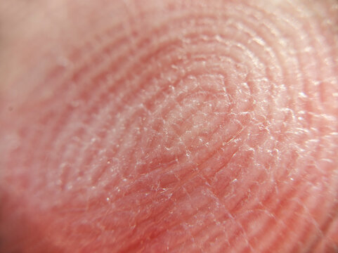 Extreme close-up of fingerprint