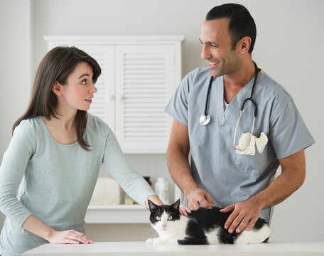 Woman and vet stroking cat in pet clinic