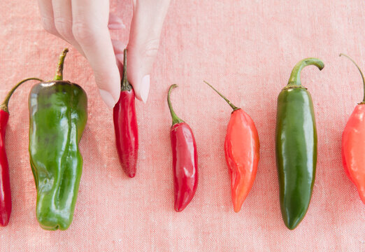 USA, New Jersey, Jersey City, Close-up view of woman's hand with chili peppers