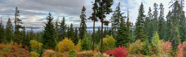 USA, Washington State. Panorama of Autumn color with yellow, red and green.