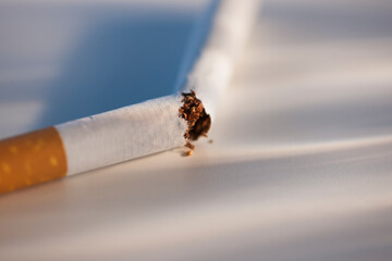 Broken cigarette on white background