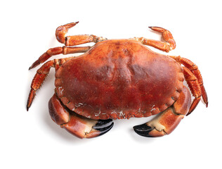 Beautiful cut out crab cake
