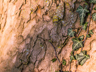 texture