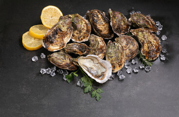 Several oysters with a lemon on a dark background