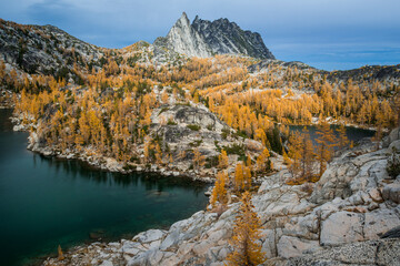 USA, Washington State. Alpine Lakes Wilderness. Golden larch trees and Prusik peak.