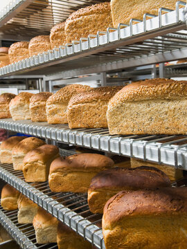 Loaves of bread on shelves in bakery