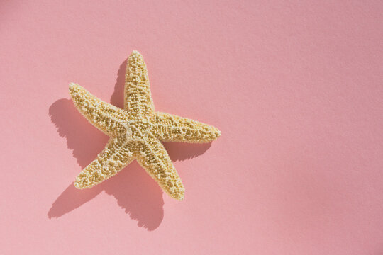 Starfish