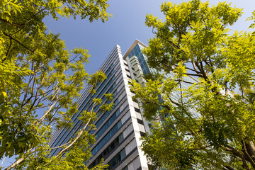 Fototapeta na wymiar (東京都ｰ都市風景)緑に囲まれたオフィスビル３