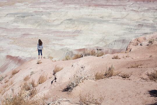 USA, Arizona, Painted Desert, Woman standing and looking at view
