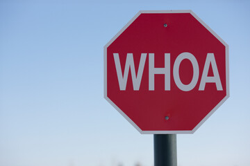 Stop sign with the word WHOA on it