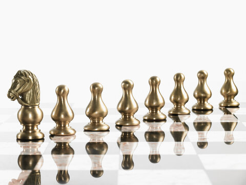 Knight with pawn chess pieces on board