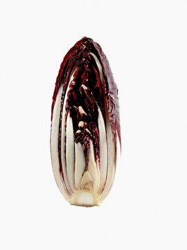 Studio shot of cross section of red cabbage