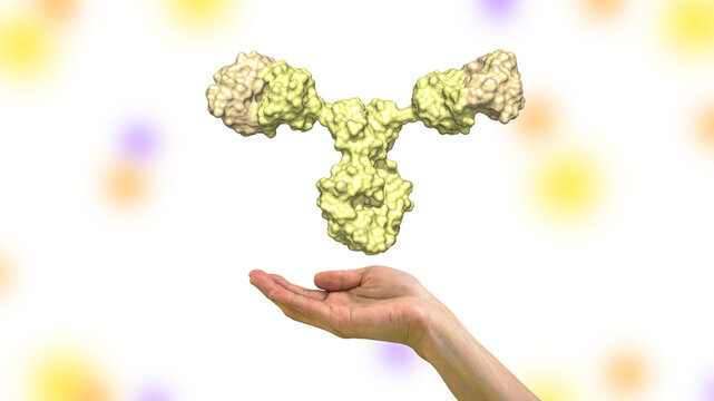 Allergic response IgE antibody floating above hand against white background; IgE immunoglobulin colored yellow 3d render