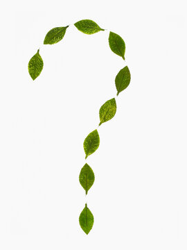 Studio shot of green leaves in question mark shape