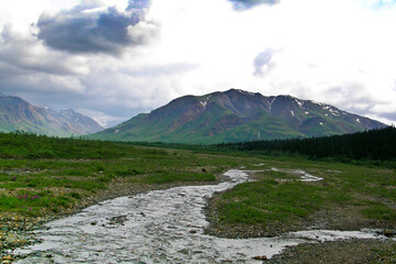 Small Creek in Alaska with Mountain in Background 