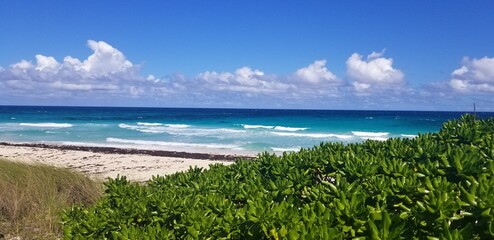 plage sauvage mer république dominicaine paradis