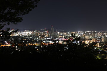 とても美しい日本の岡山県岡山市の夜景