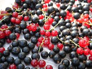 Black and red currants are on the table. Closeup