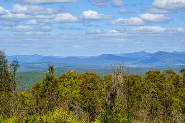 Naklejka premium landscape with sky