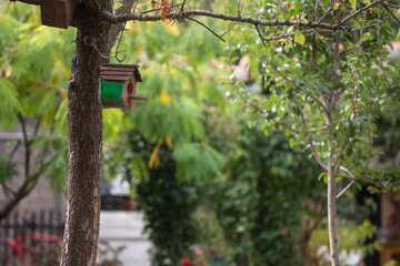 Handmade DIY bird wooden house hanging on a tree. This wooden nestling box is used to feed and protec with a shelter wild birds