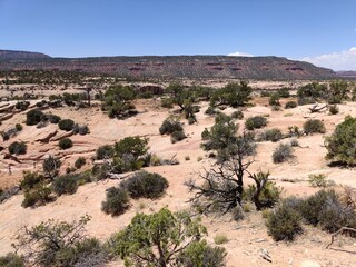 Prismatic Owachomo Bridge Overlook at Natural Bridge National Monument in Utah