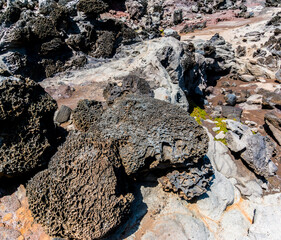 Eroded Lava Rock at The Acid Rain War Zone, Nakalele Point, Maui, Hawaii, USA