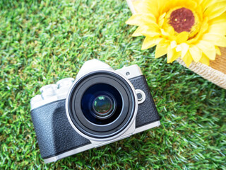 芝生の上の公園と帽子