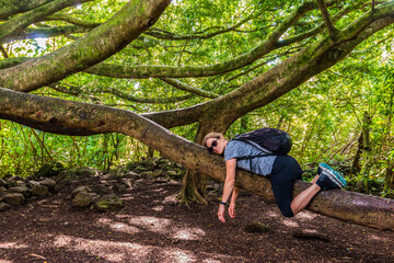 Female Hiker Resting on a Banyon Tree On The Pipiwai Trail Haleakala National Park, Maui, Hawaii, USA