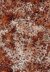 brown color of abstract background