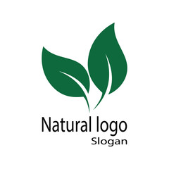 Leaf icon Vector Illustration design Logo template