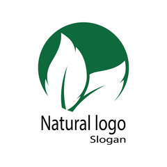 Obraz premium Leaf icon Vector Illustration design Logo template