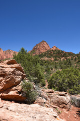 Kolob Canyons landscape in Zion National Park, in the northwest corner of the park, narrow parallel box canyons are cut into the western edge of the Colorado Plateau